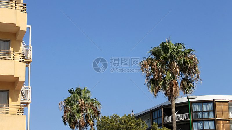 军事冬令营：揭秘厂家定制方案的奥秘